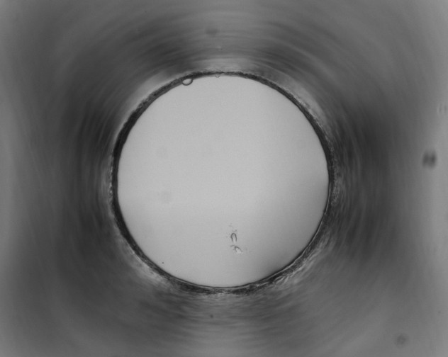 X0000100340992200807031254