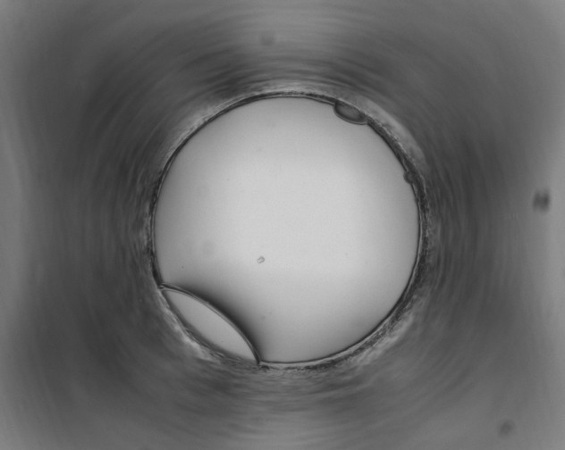 X0000100340993200807031254