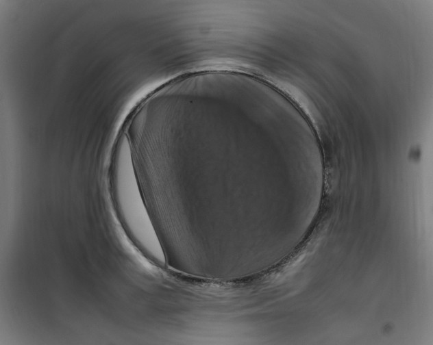 X0000100340995200807031254