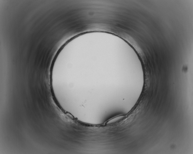 X0000100340996200807031254