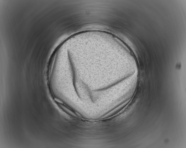 X0000100340997200807031254