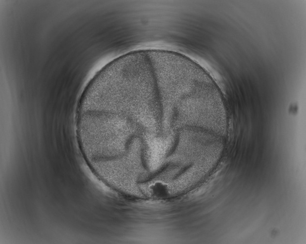 X0000100340998200807031254