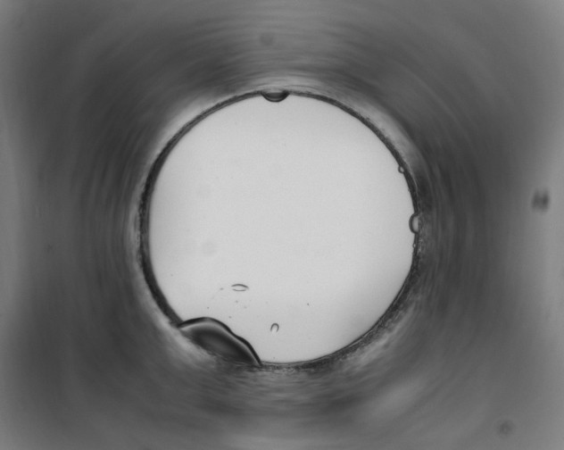 X0000100340999200807031254