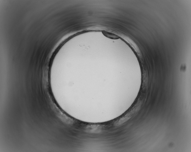 X0000100341000200807031254