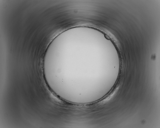 X0000100341001200807031254