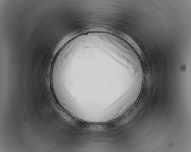 X0000100341002200807031254