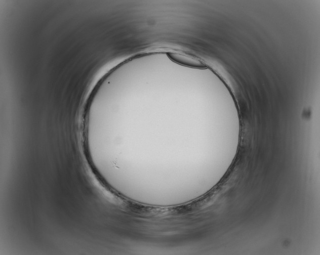 X0000100341003200807031254