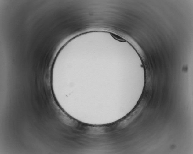 X0000100341004200807031254