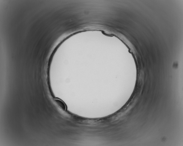 X0000100341005200807031254