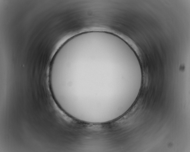 X0000100341006200807031254