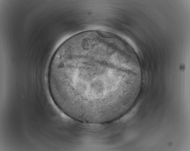 X0000100341007200807031254