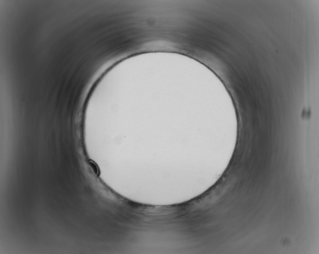 X0000100341008200807031254