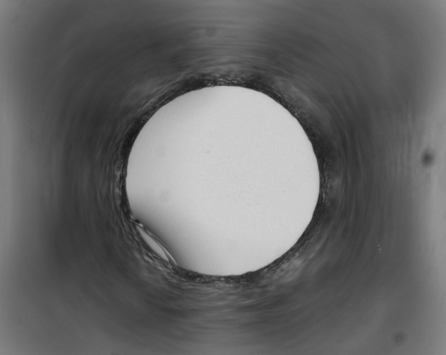 X0000100341010200807031253