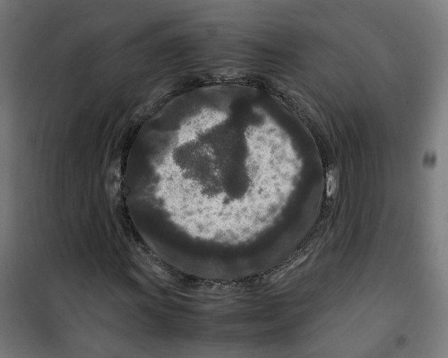 X0000100341011200807031253