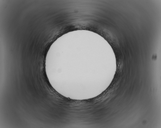 X0000100341012200807031253