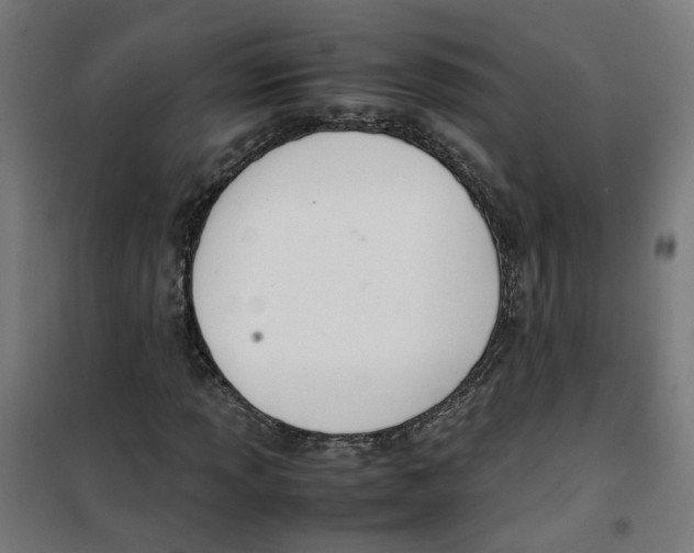 X0000100341013200807031253