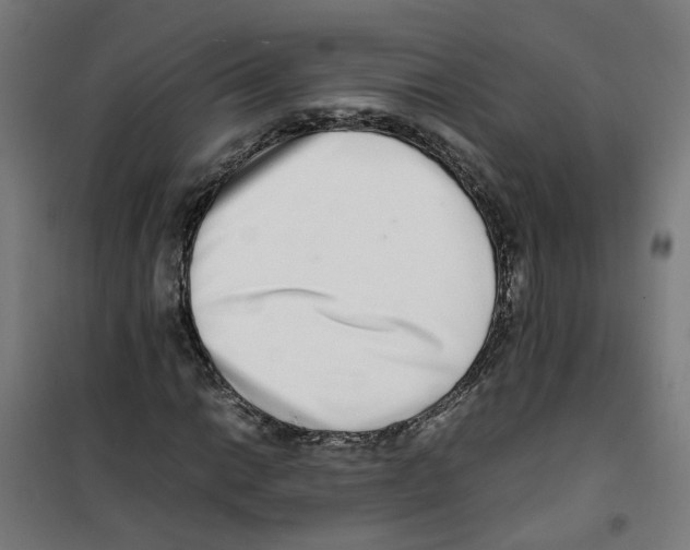 X0000100341014200807031253