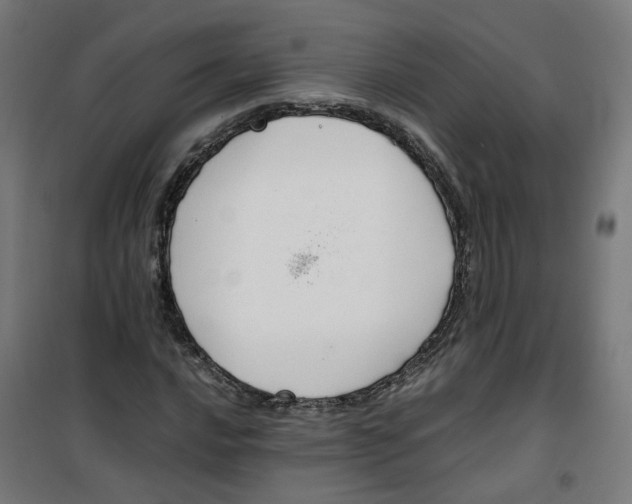 X0000100341016200807031253