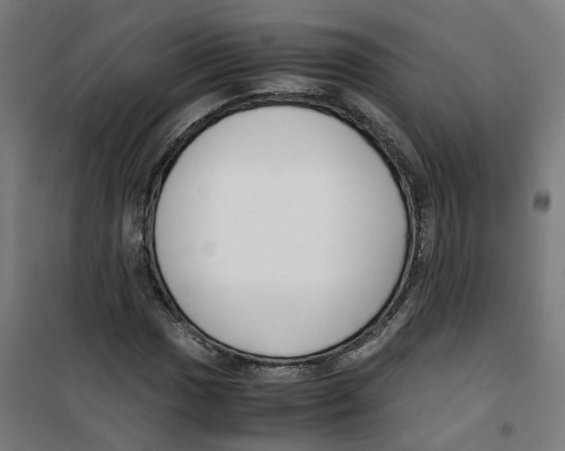 X0000100341017200807031253