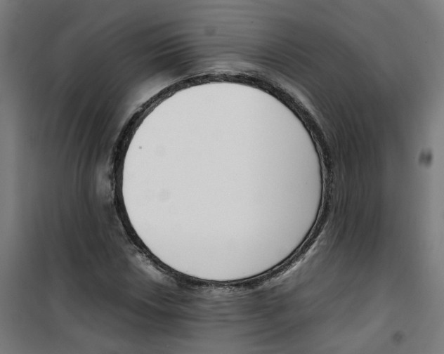 X0000100341018200807031253