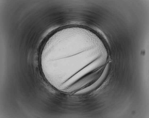 X0000100341019200807031253