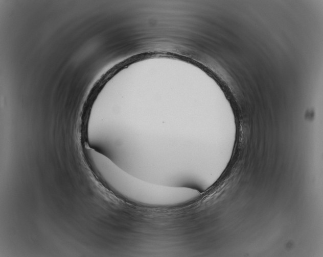 X0000100341020200807031253