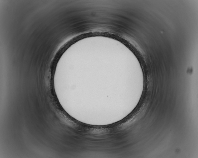 X0000100341021200807031253