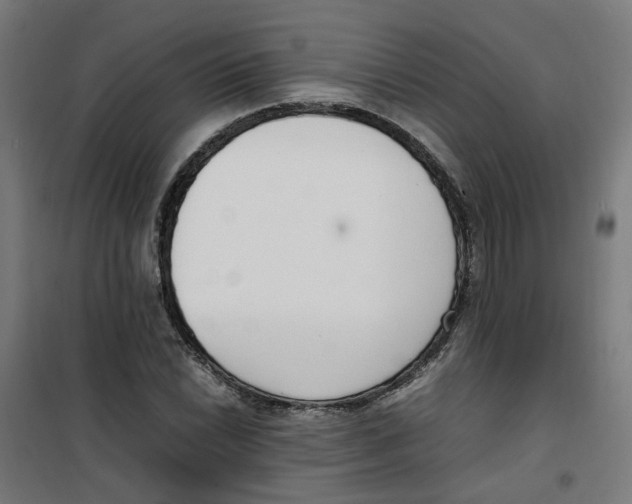 X0000100341022200807031253