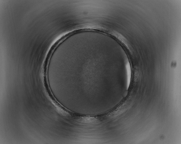 X0000100341024200807031253