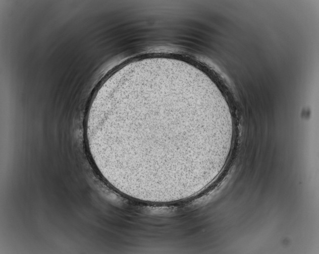 X0000100341025200807031253