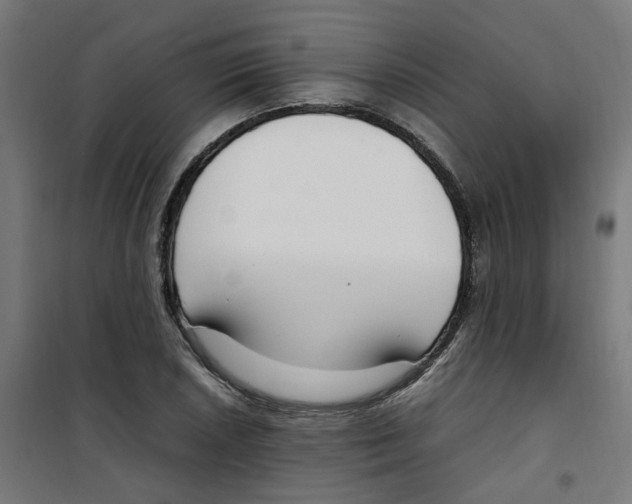 X0000100341026200807031253