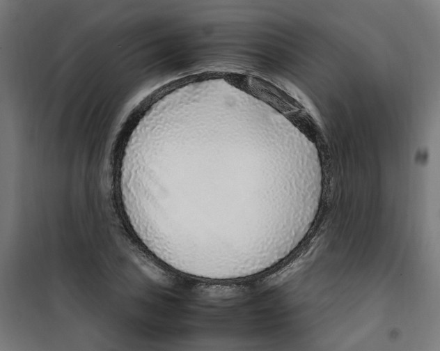 X0000100341027200807031253