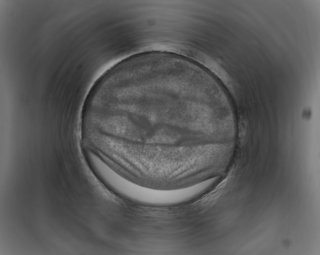 X0000100341028200807031253