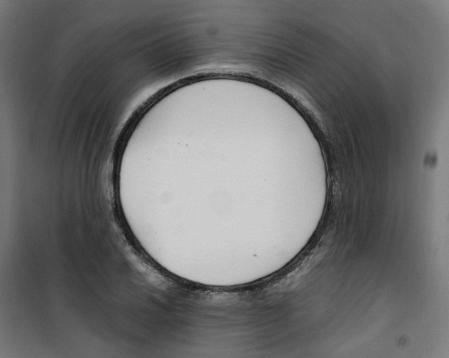 X0000100341030200807031253