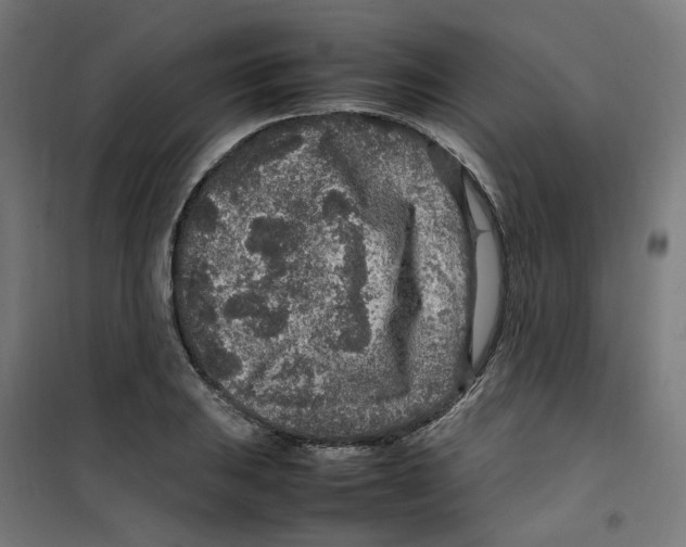 X0000100341031200807031253