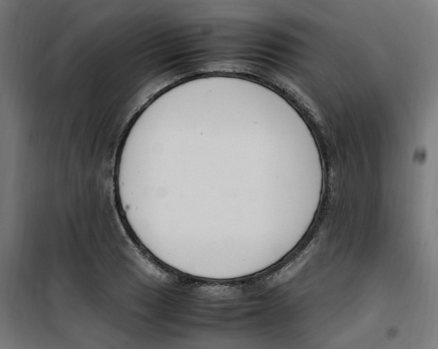 X0000100341033200807031253