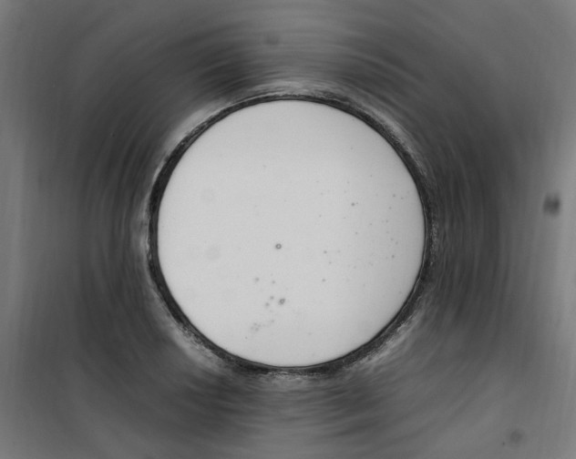 X0000100341034200807031253