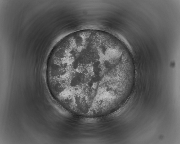 X0000100341035200807031253