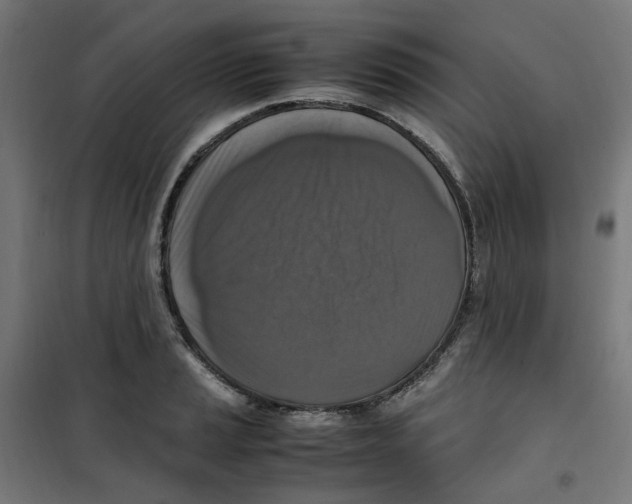 X0000100341037200807031253