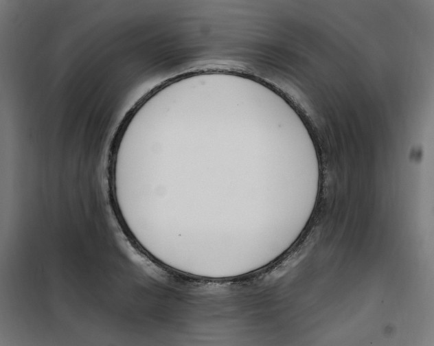 X0000100341038200807031253