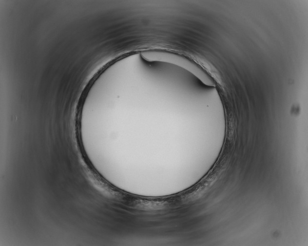 X0000100341039200807031254