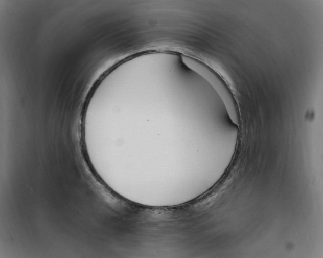 X0000100341040200807031254