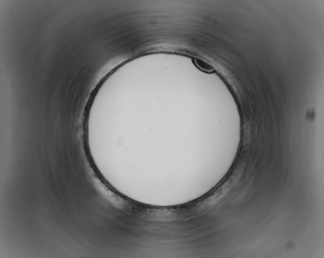 X0000100341042200807031254