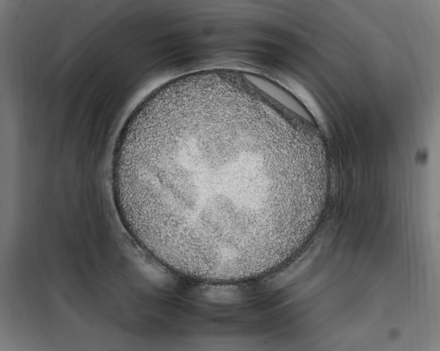 X0000100341043200807031254