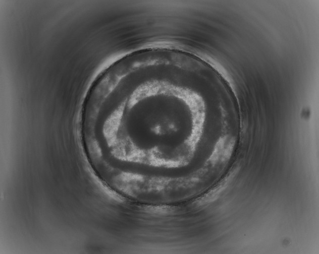 X0000100341045200807031254