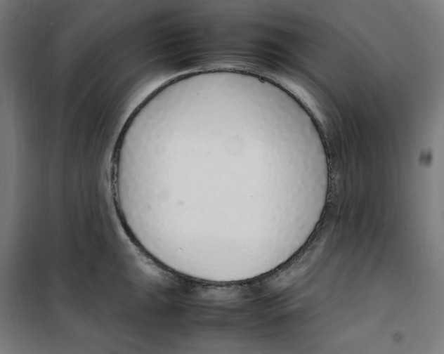 X0000100341047200807031254