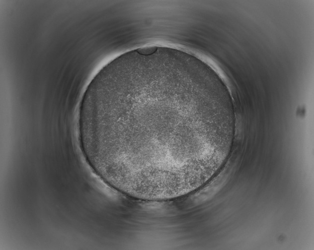 X0000100341048200807031254