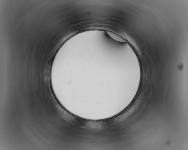 X0000100341049200807031254