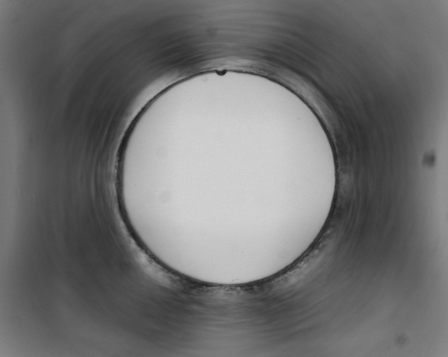 X0000100341050200807031254