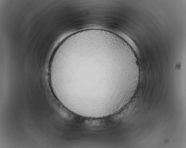 X0000100341051200807031254